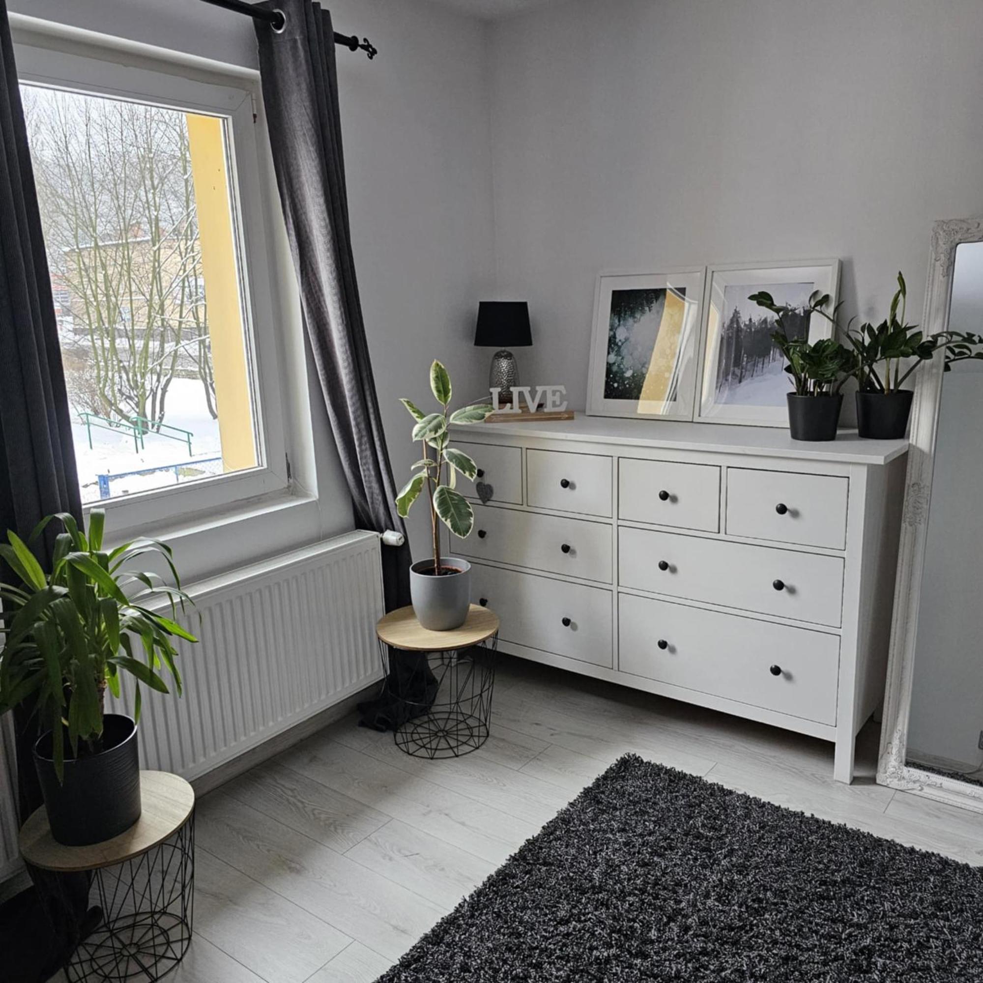Apartament 41 イェレニャ・グーラ エクステリア 写真