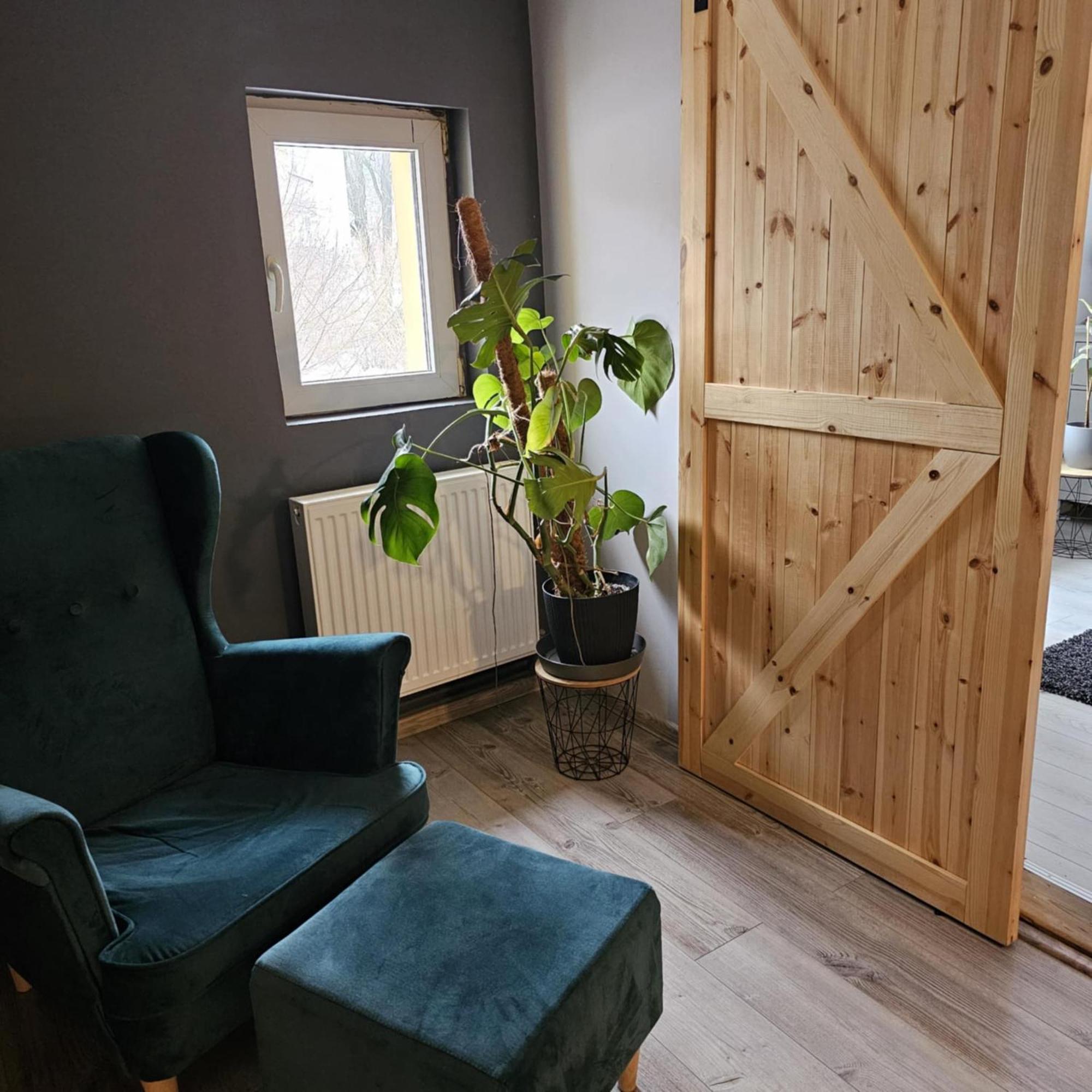 Apartament 41 イェレニャ・グーラ エクステリア 写真
